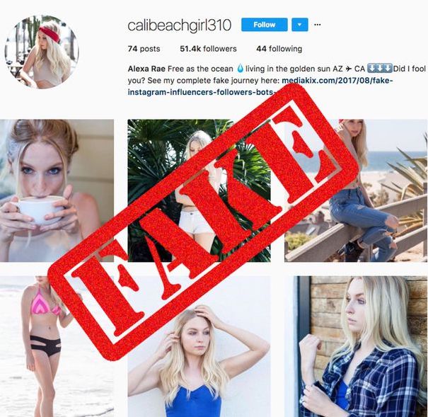 fake-instagram-accounts-Infuencer-Instagram Influencer