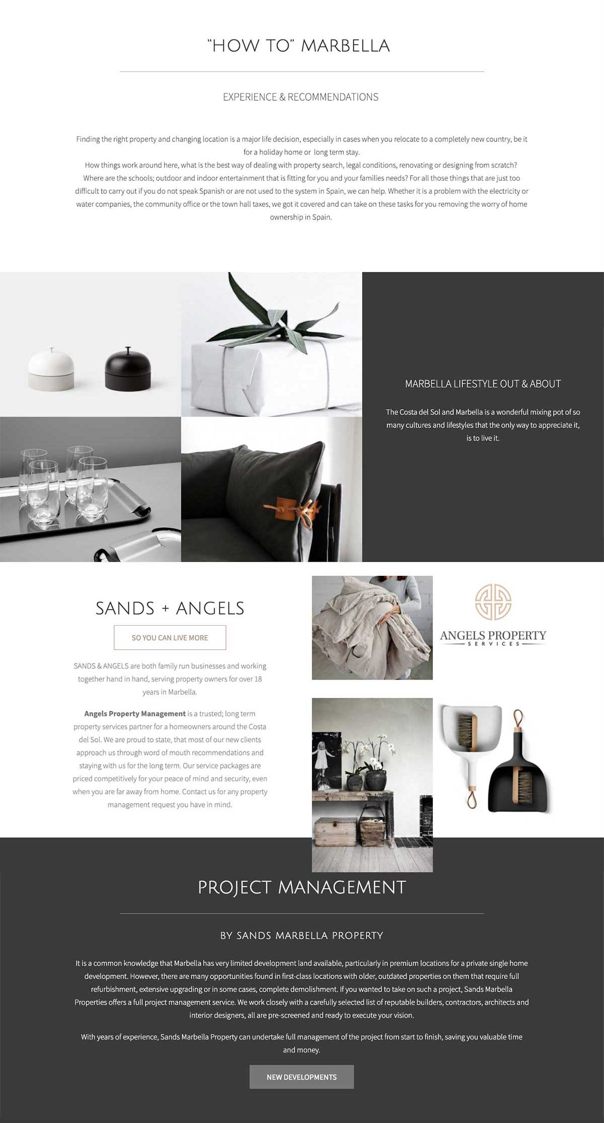 WordPress website design marbella real estate property website marbella