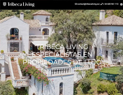 Wordpress website design for Marbella Real estate agents