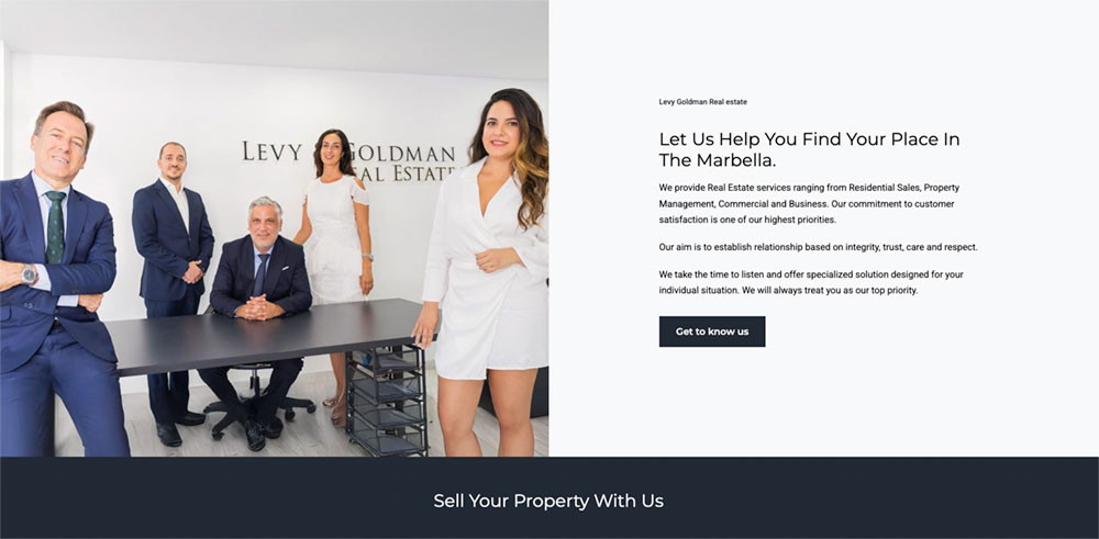 levy goldman luxury real estate agents marbella wordpress website design