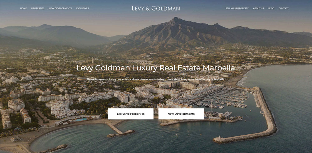 levy goldman real estate website wordpress web design marbella
