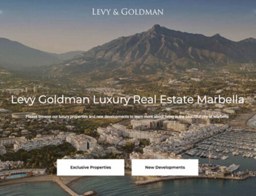 Levy Goldman WordPress Real Estate Website Marbella